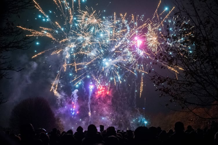 This year's Farnham Fireworks and Torchlit Procession will include spectacular fireworks.