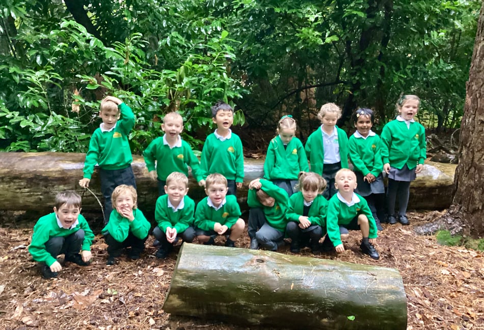<p>Beacon Hill Primary School, Bumblebees class</p>