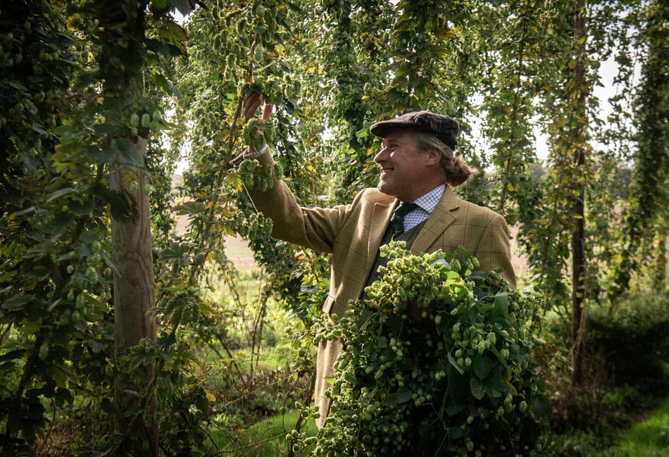 <p>Hogs Back Estate Manager Matthew King inspecting the hops.</p>