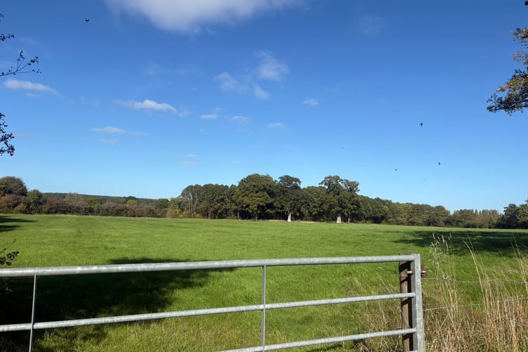 View of part of the proposed development site in agricultural field of Glaziers Lane, Normandy.
