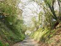 Enforcement action served on Surrey Hills illegal traveller site