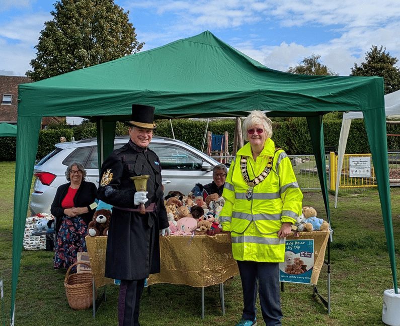 <p>Haslemere Town Council mayor Jean arrick</p>