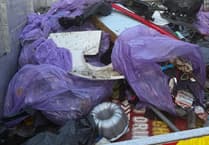 Massive A31 litter clean-up effort