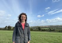 Cllr Emily Young: Planning neglect has left East Hampshire exposed