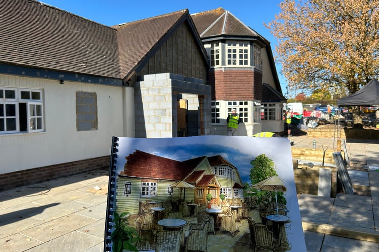 Barn Owl, Binsted Road, Blacknest, October 9th 2025.