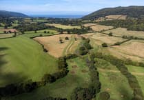 More green space in Farnham and Bordon than English average