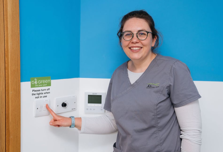 <p>St Peter’s Vets has been rewarded with the Investors in the Environment (IIE) Green accreditation for changes at its branches in Petersfield, Liss and Horndean.</p>