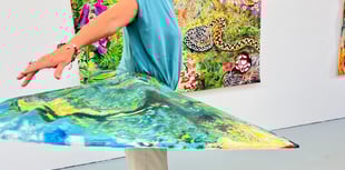 Muddying the water? Farnham rangers wade into Kings Pond debate