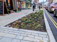 Concerns rain-garden plan could "destroy" festival viability 