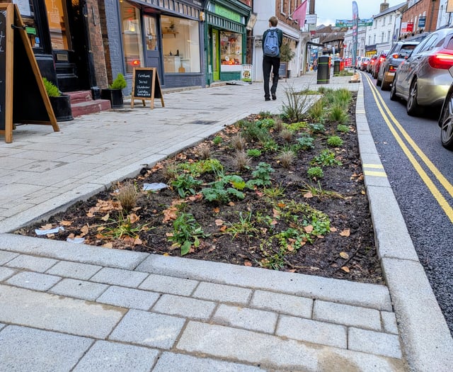 Concerns rain-garden plan could "destroy" festival viability 