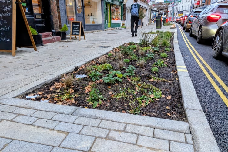 Rainwater Garden Downing Street Farnham