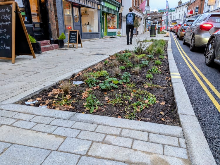 Rainwater Garden Downing Street Farnham
