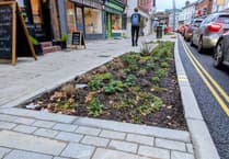 Rain-gardens could "destroy" food festival viability warns Farnham councillor