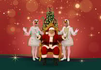 Santa ‘swans’ into Birdworld for week of festive family shows