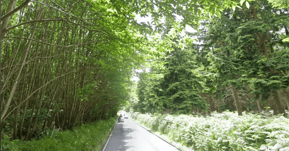 <p>The 21-year-old Haslemere cyclist died in hospital on Saturday morning</p>