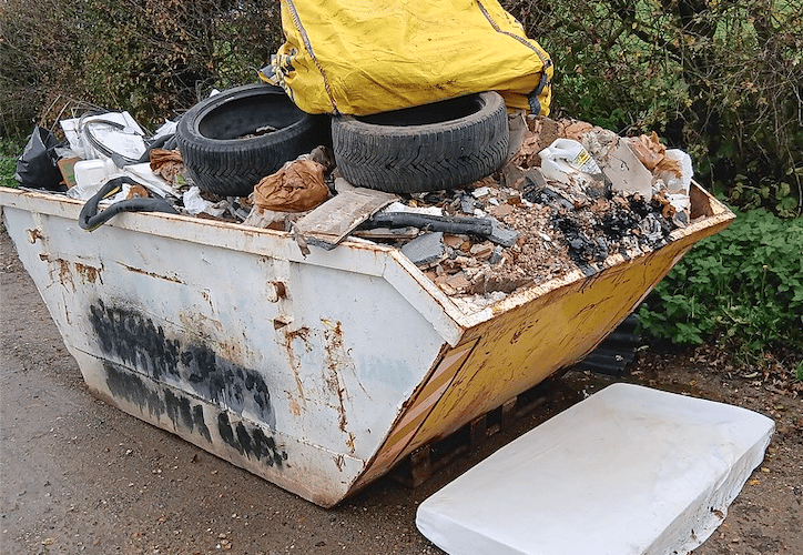 Fly-skip on A339 near Alton, November 5th 2025.