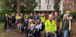 Volunteers rally for town-wide litter pick