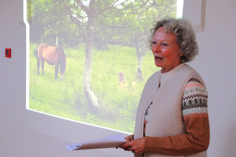 Karen Minto, who was celebrating the 25th anniversary of the Moorland Mousie Trust, which helps to protect the Exmoor Pony breed, gave a talk in Dulverton Heritage Centre. PHOTO: George Ody.
