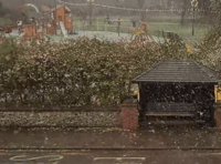 WATCH: First flurries of snow fall over Farnham