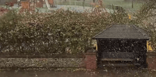WATCH: First flurries of snow fall over Farnham