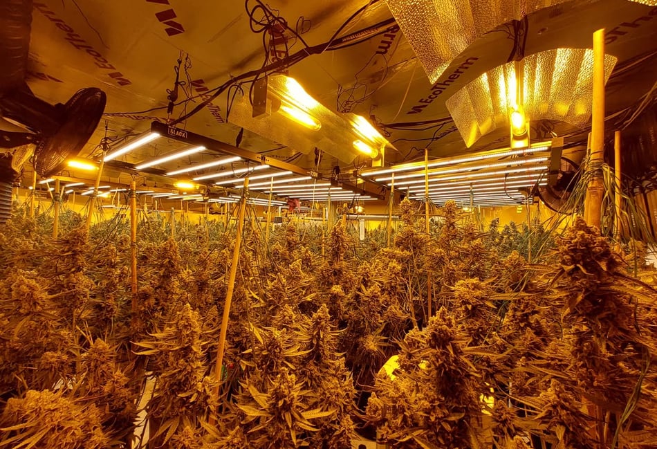 <p>The interior of the unit raided by Hampshire Police in Four Marks this morning (PHOTO EAST HANTS POLICE)</p>