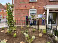 New flower beds bring sense of calm outside Central Surgery