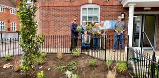 New flower beds bring sense of calm outside Central Surgery