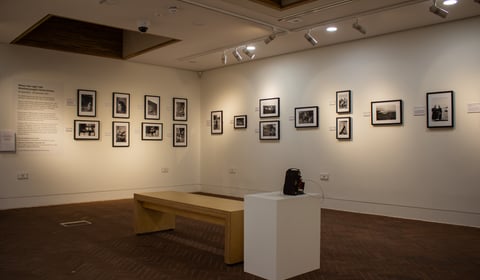 Half-price tickets this December at Petersfield Museum and Art Gallery