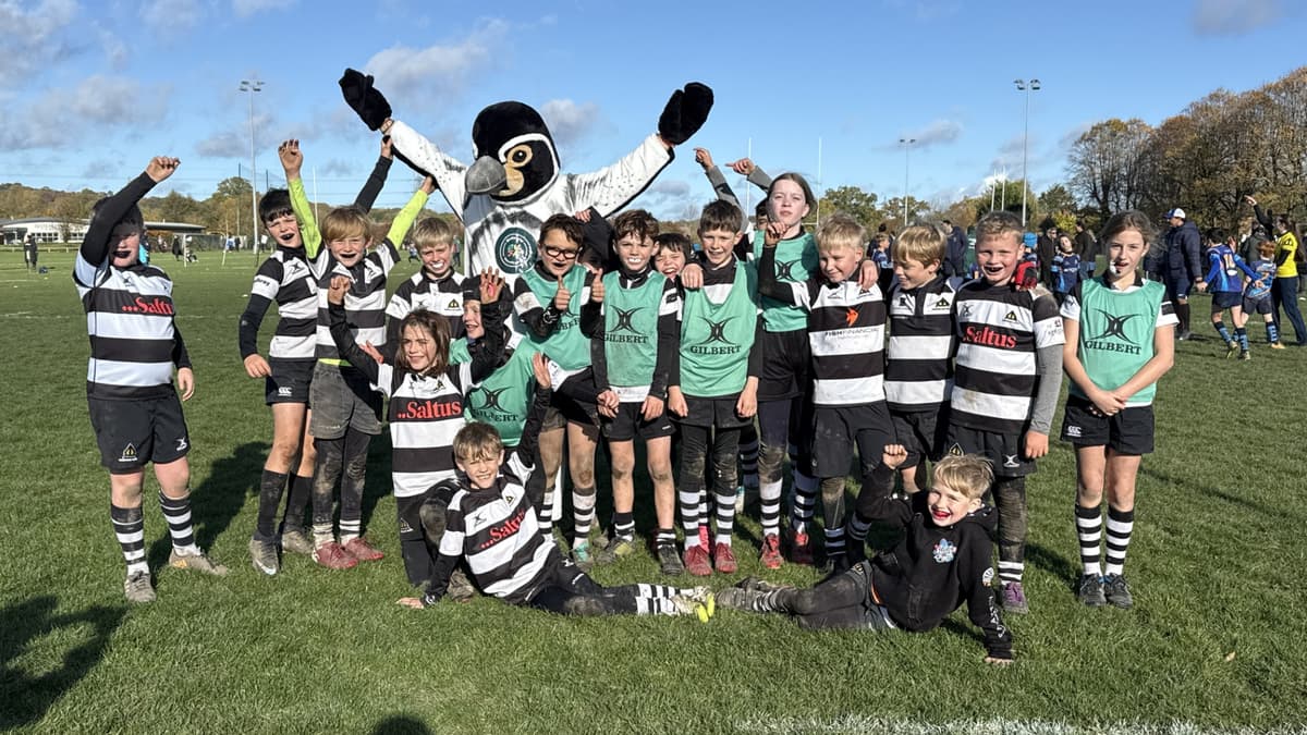 Birdworld wings it with Farnham Rugby Club Minis jungle tour ...