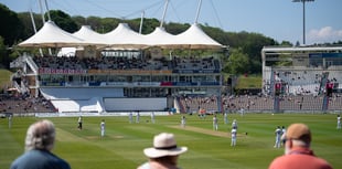 Hampshire appoint Russell Domingo as new men's head coach