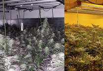 Police discover large-scale cannabis factory found at house in Farnborough