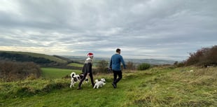 The best festive winter walks to enjoy in the South Downs