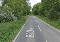 Upset as video of ponies behind pickup circulates in Kingsley