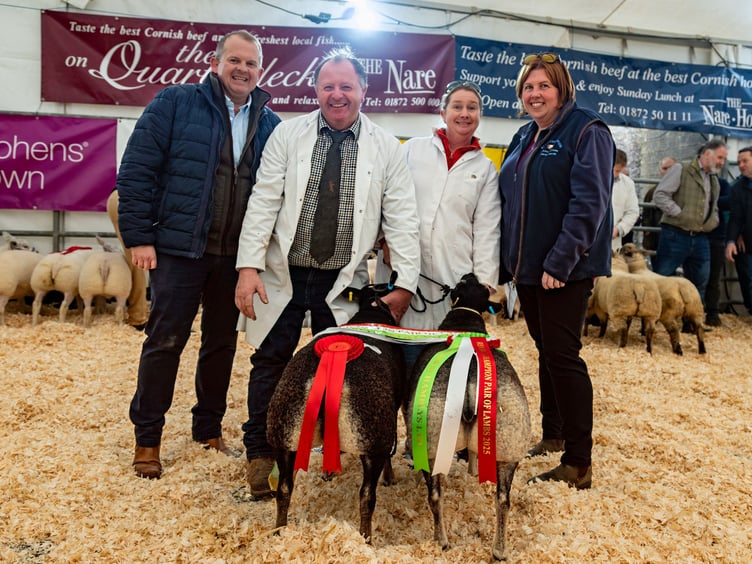 Truro Primestock Show 2025's reserve sheep champion