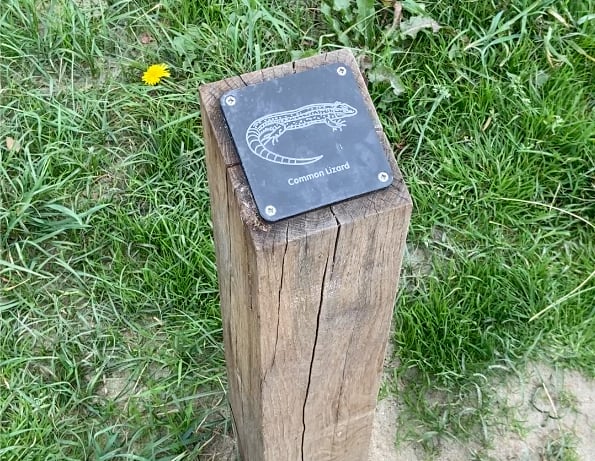 One of the rubbing posts on the nature trail at Par Beach. (Picture: Andrew Townsend)