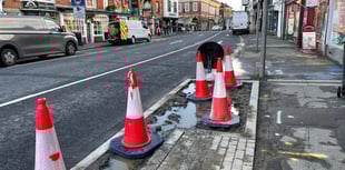 Town centre revamp bogged down by 'quagmire' rain gardens