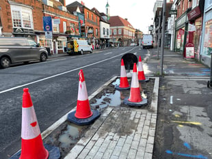 Town centre revamp bogged down by 'quagmire' rain gardens