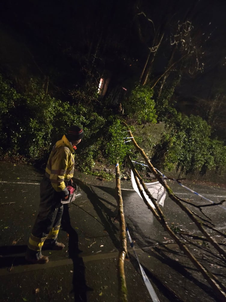 Tree clearance in Liskeard. (Picture: Adz Crago)