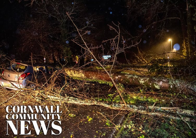 Tree lands on car on Pentewan Road, St Austell. (Picture: Paul Williams)