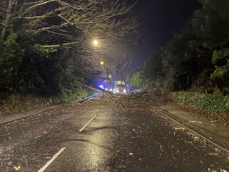 Storm Goretti brought a tree down on the A390 at Union Hill, Truro. (Picture: Johnathan Keam)