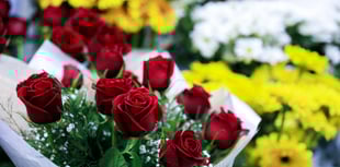 Tindle News launches 2026 Valentine’s multimedia packages