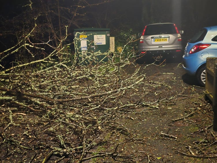 Trees down in Coombe Park, Saltash. (Picture: Punky Barnitt)