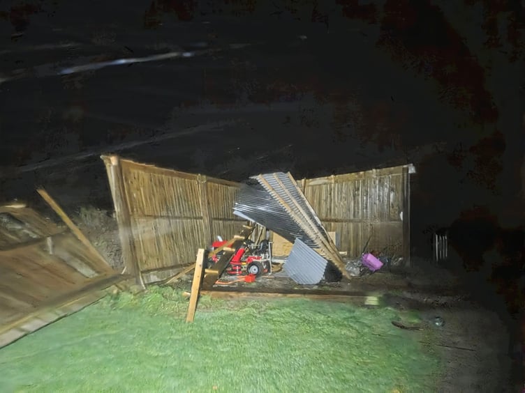 Shed blown down. (Picture: Kim Holness)