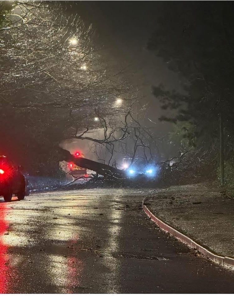 Tree down on Tregolls Road, Truro