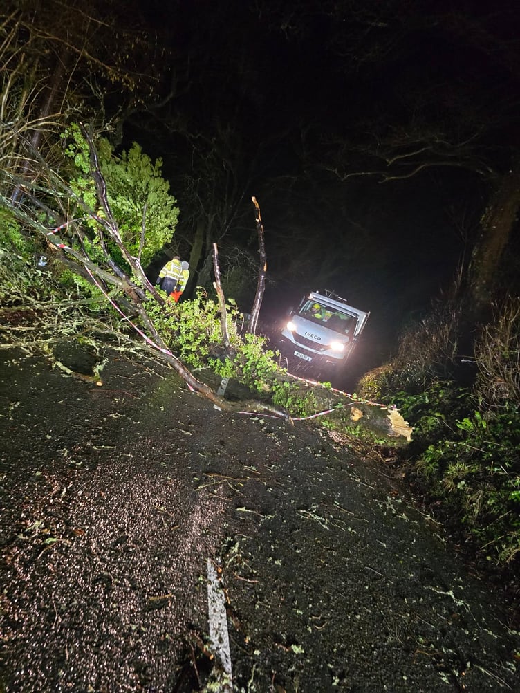Trees down in Liskeard