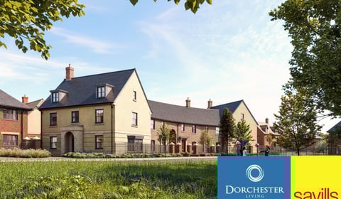 New Year, New Home at Nut Tree View