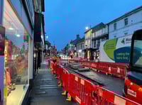 Farnham rain gardens scrapped after turning into muddy quagmires