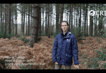 WATCH: Rare heathland to be restored at Green Farm near Farnham