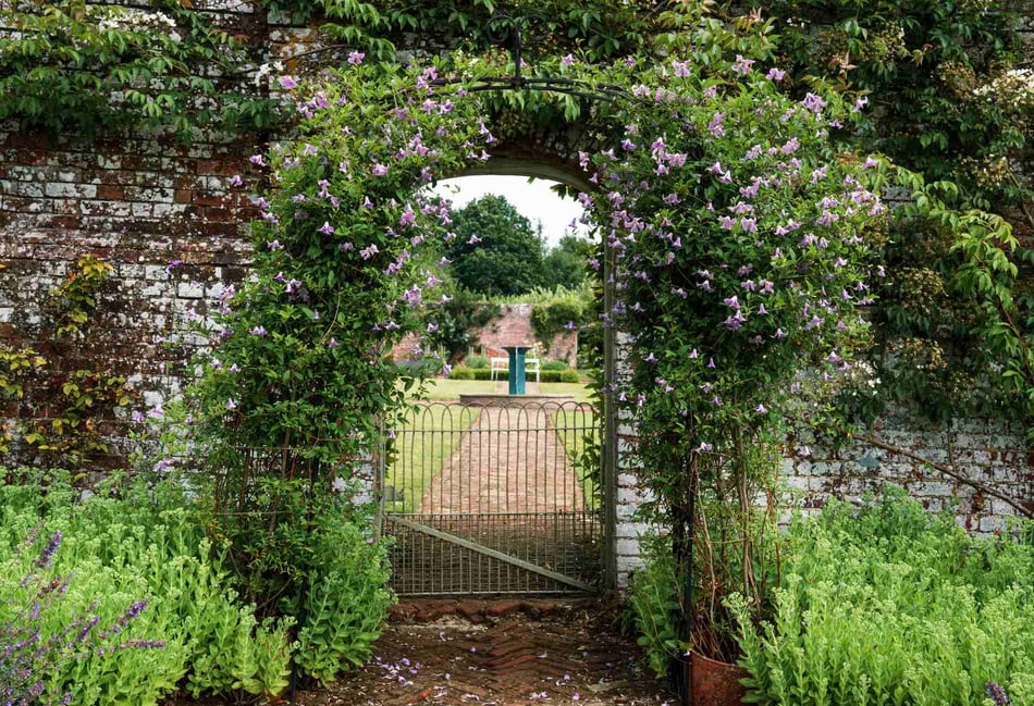 <p>Phyllis Tuckwell open garden event.</p>