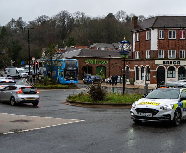 Surrey council plans £100 fines for excessive horn honking
